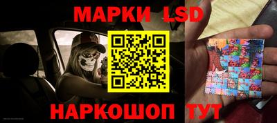 apvp Краснодар