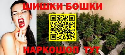 apvp Краснодар