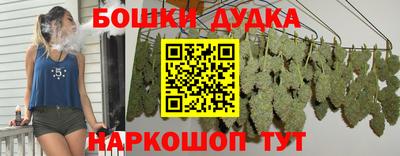apvp Краснодар