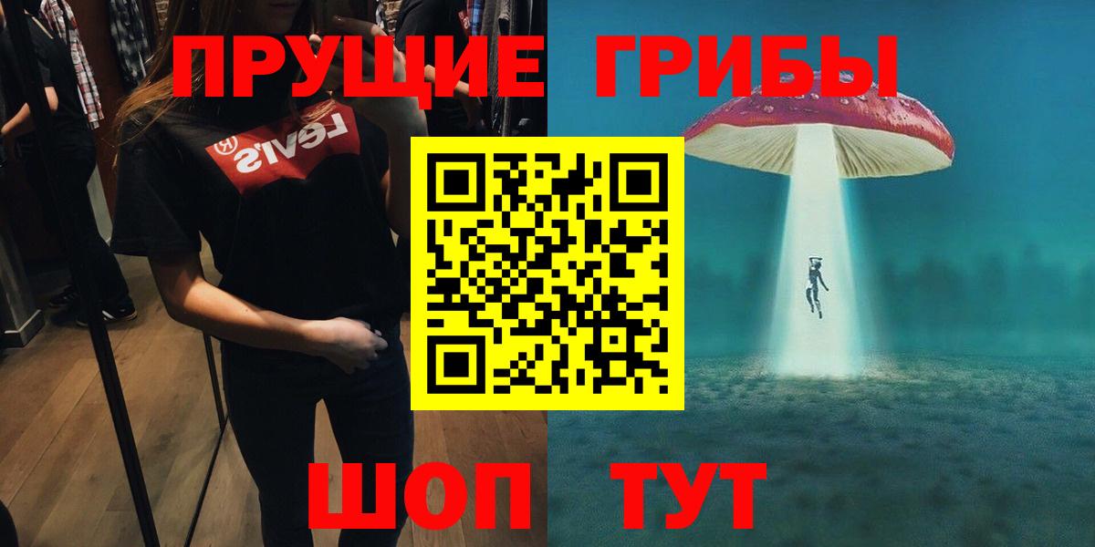 Псилоцибиновые грибы Psilocybe Карталы